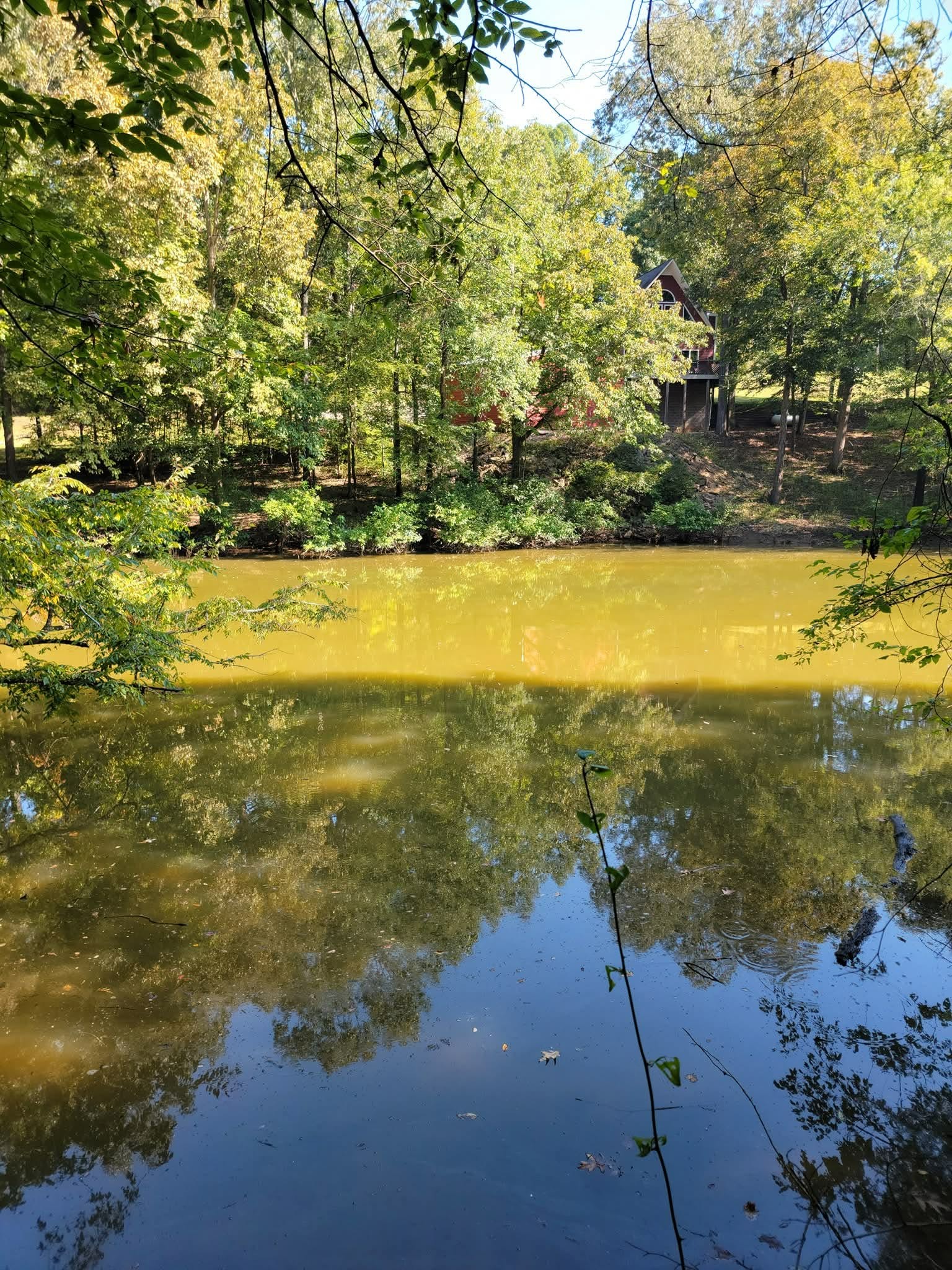 0 Shirley Bates Road Clifton, TN 38425 - Photo 3 of 5