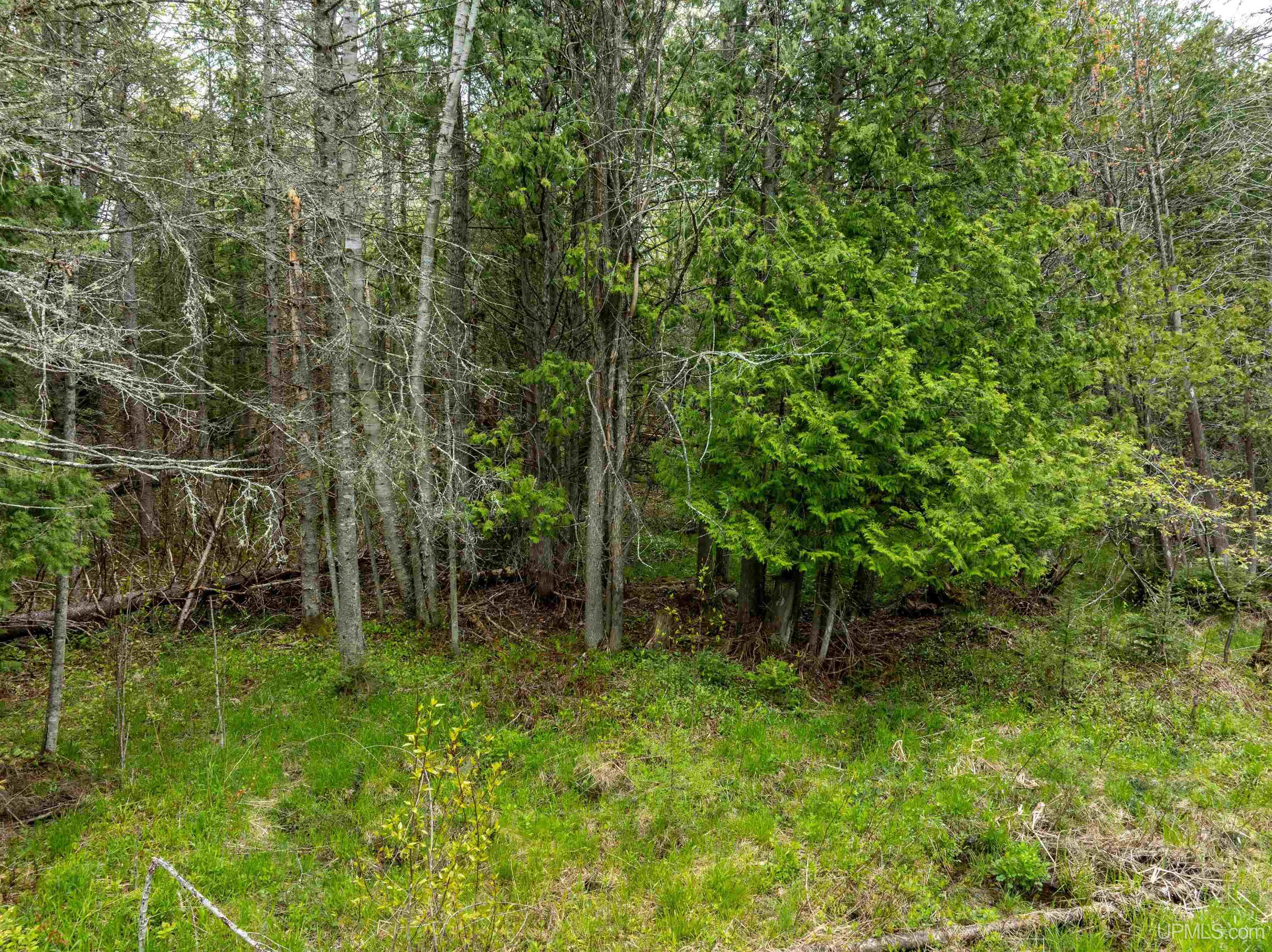 Tbd Et Road Trenary, MI 49891 - Photo 8 of 18 Gallery Image 8