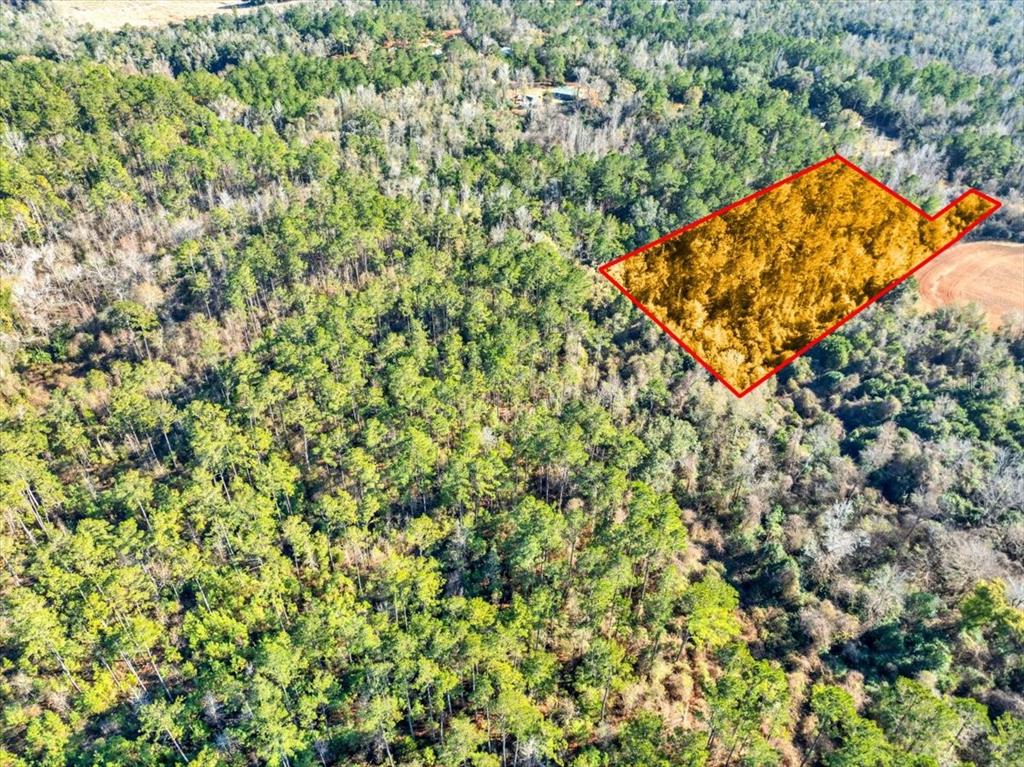 Lovewood Road Cottondale, FL 32431 - Photo 11 of 43