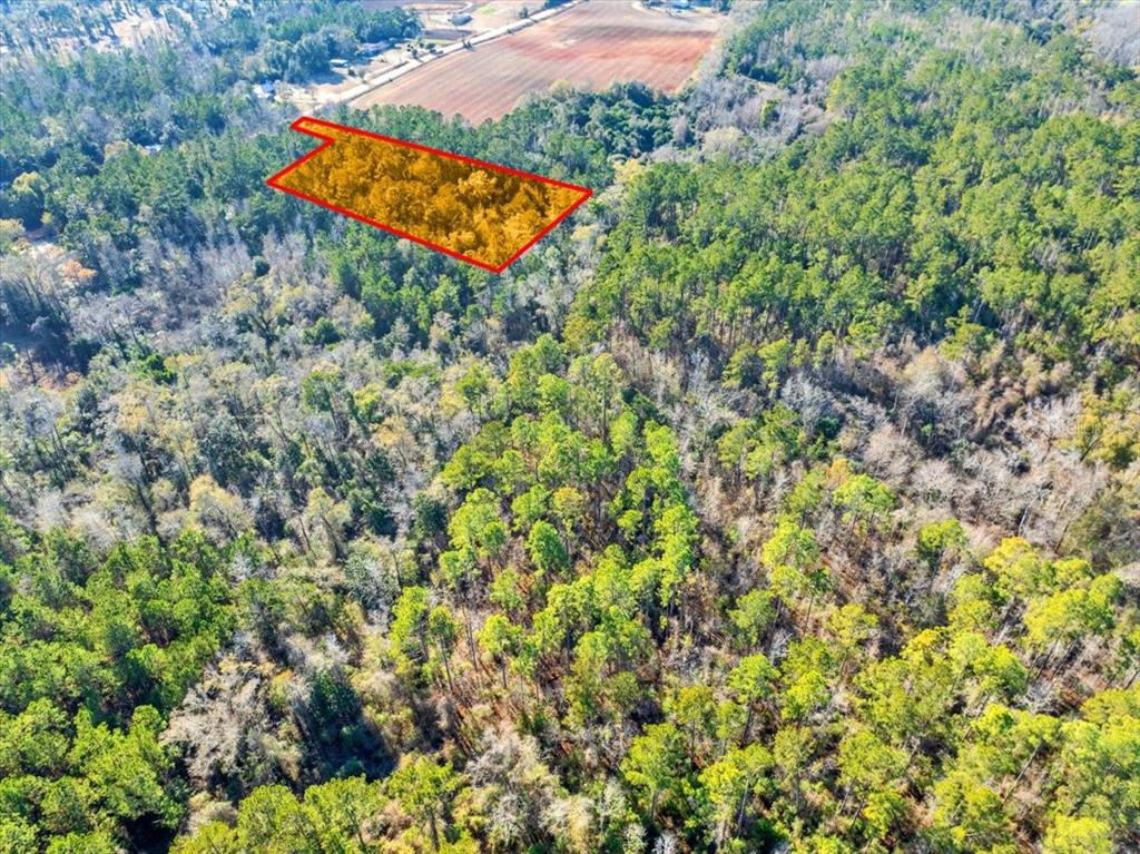 Lovewood Road Cottondale, FL 32431 - Photo 15 of 43