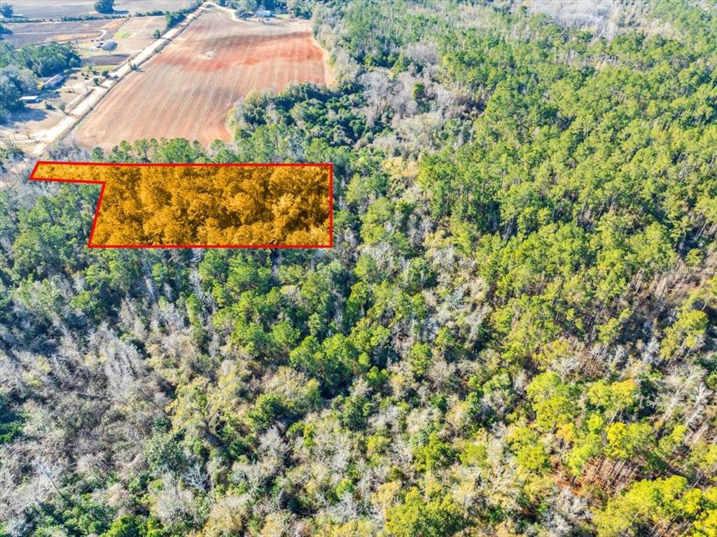 Lovewood Road Cottondale, FL 32431 - Photo 16 of 43