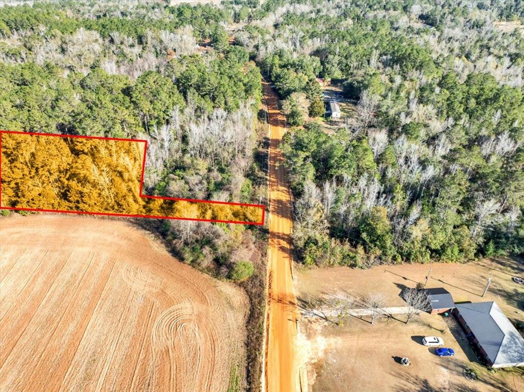 Lovewood Road Cottondale, FL 32431 - Photo 2 of 43