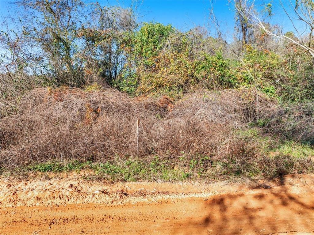 Lovewood Road Cottondale, FL 32431 - Photo 21 of 43