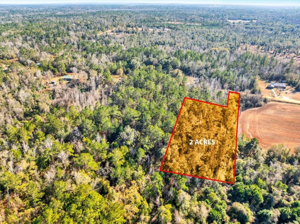 Lovewood Road Cottondale, FL 32431 - Photo 26 of 43