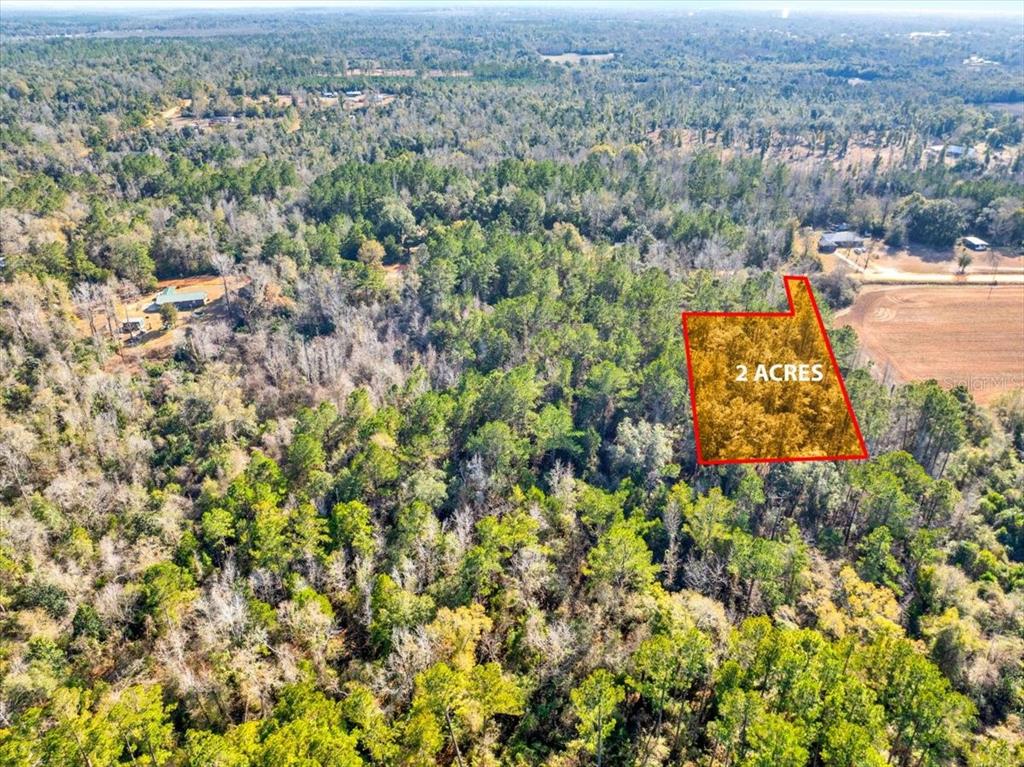 Lovewood Road Cottondale, FL 32431 - Photo 27 of 43