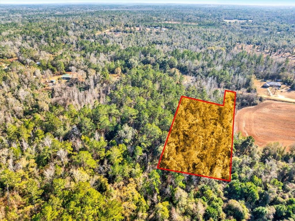 Lovewood Road Cottondale, FL 32431 - Photo 3 of 43
