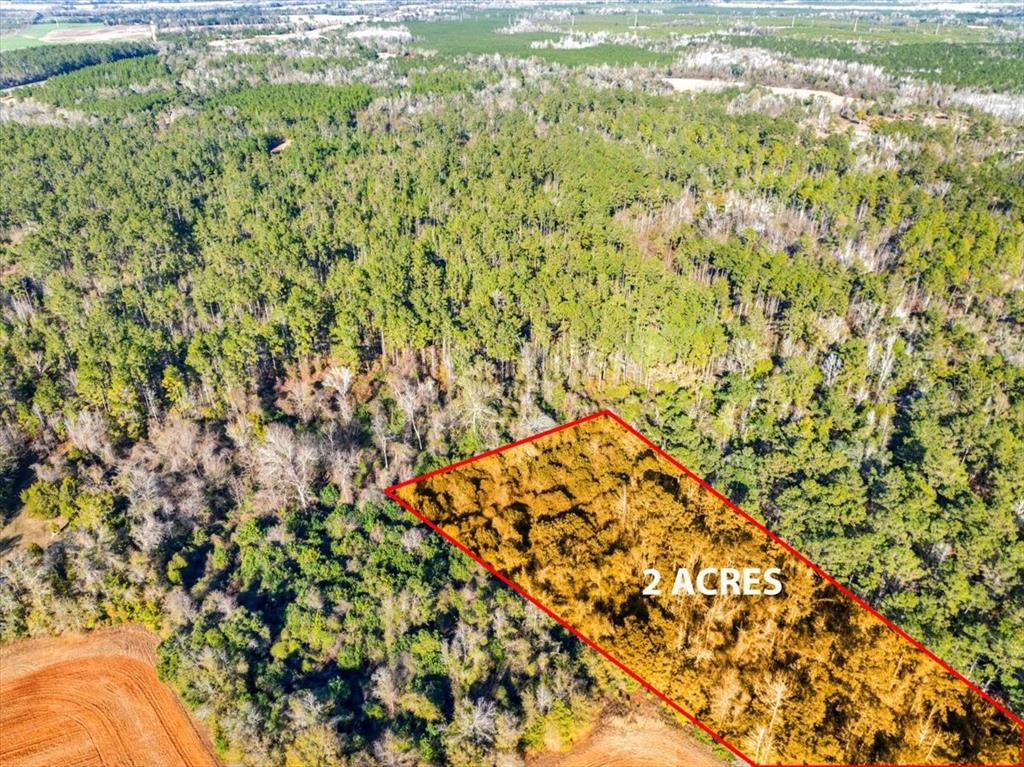 Lovewood Road Cottondale, FL 32431 - Photo 31 of 43