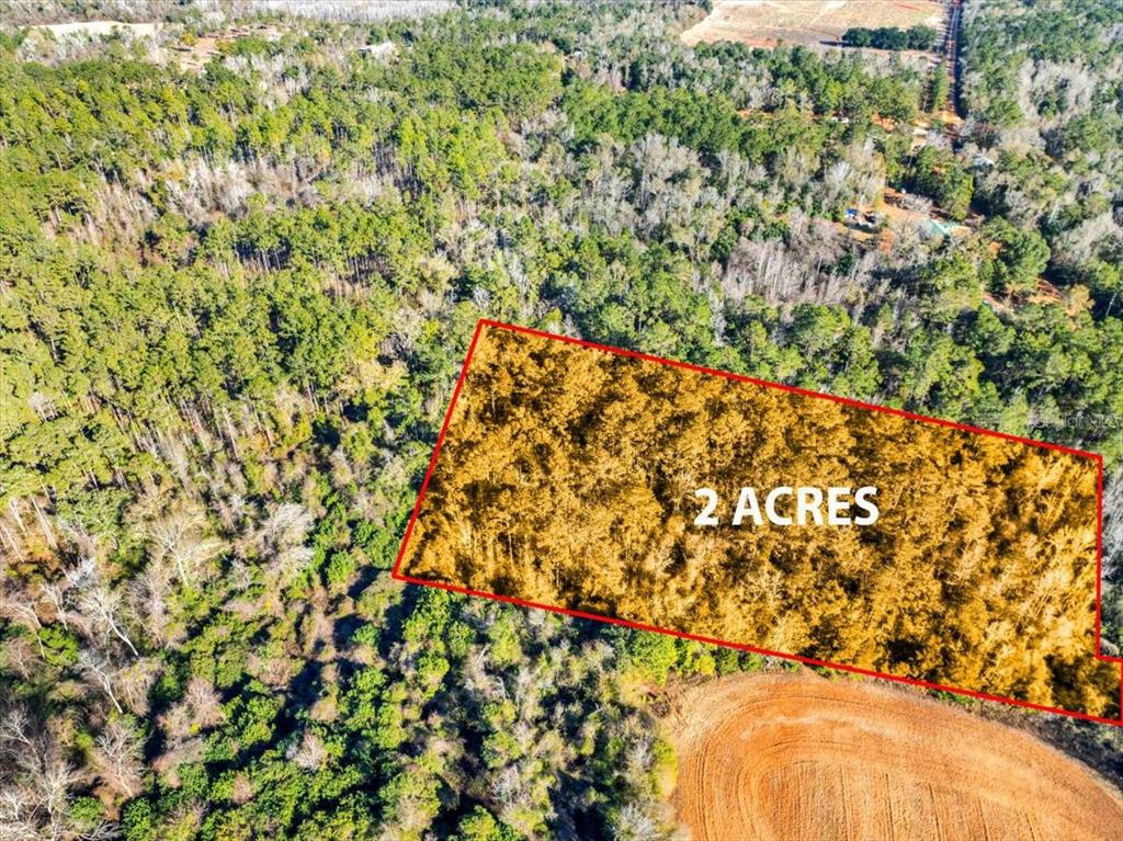 Lovewood Road Cottondale, FL 32431 - Photo 32 of 43