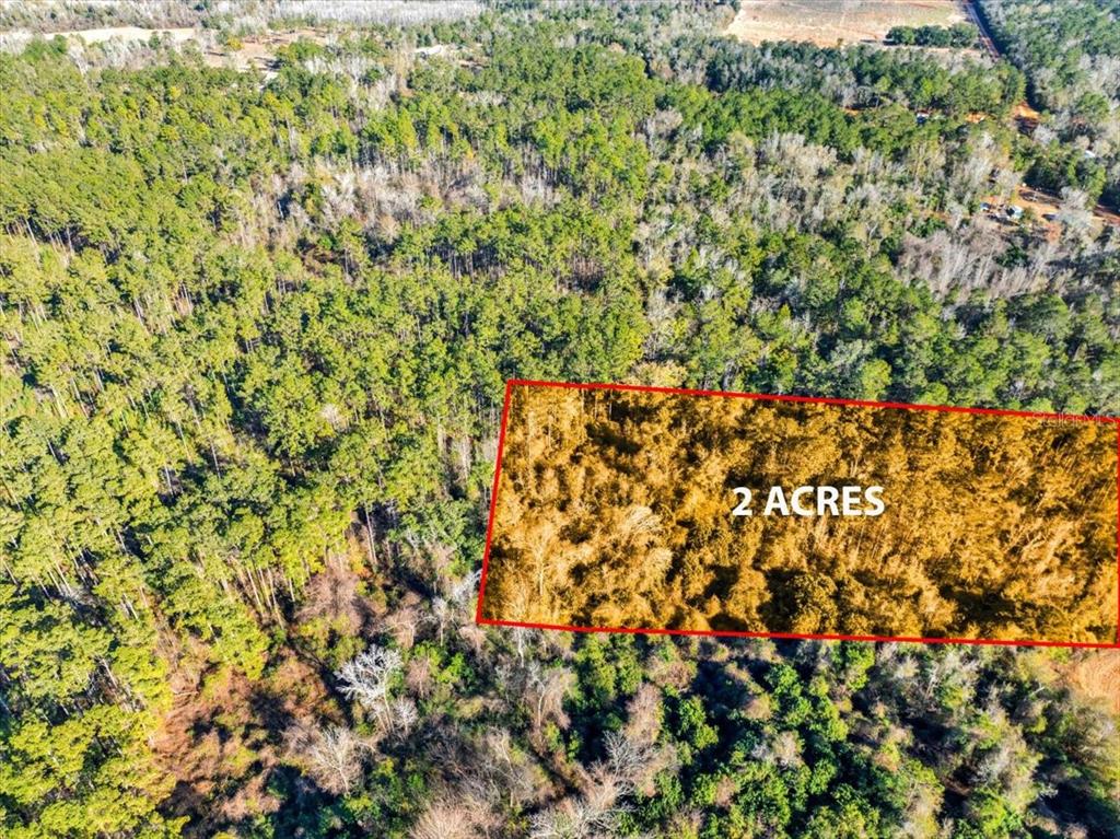 Lovewood Road Cottondale, FL 32431 - Photo 33 of 43