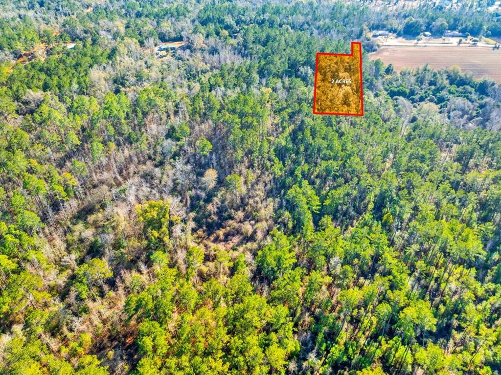 Lovewood Road Cottondale, FL 32431 - Photo 35 of 43