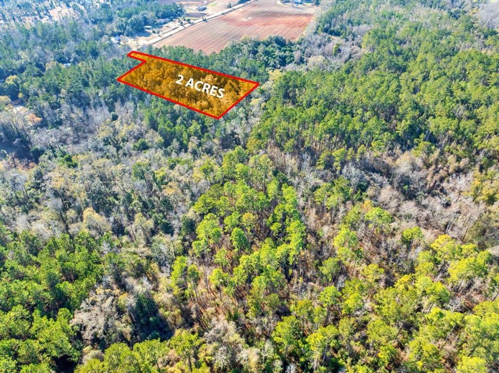 Lovewood Road Cottondale, FL 32431 - Photo 38 of 43