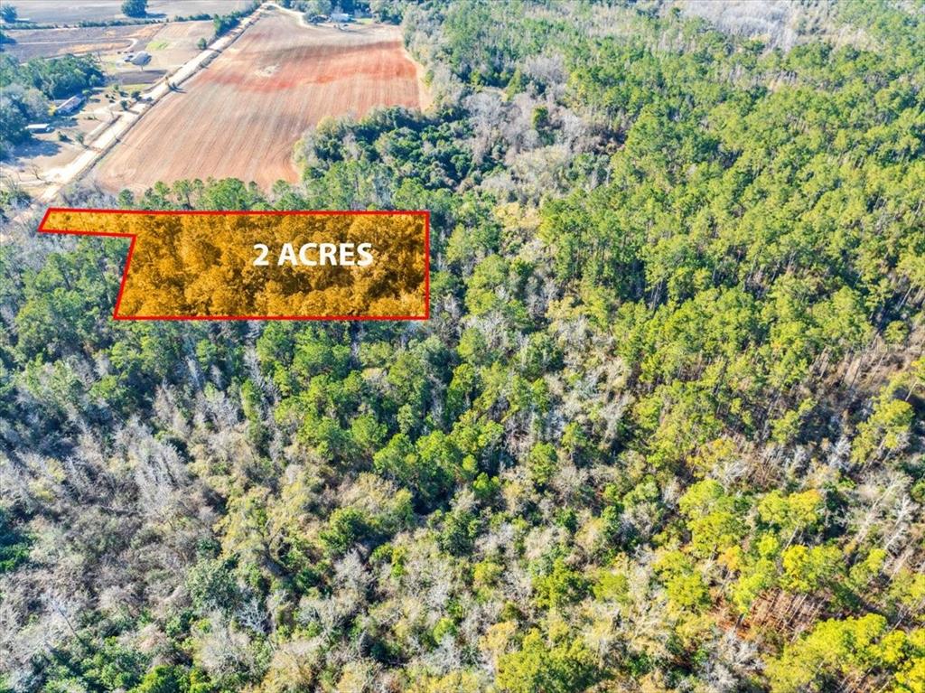 Lovewood Road Cottondale, FL 32431 - Photo 39 of 43