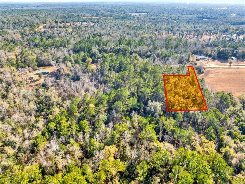 Lovewood Road Cottondale, FL 32431 - Photo 4 of 43