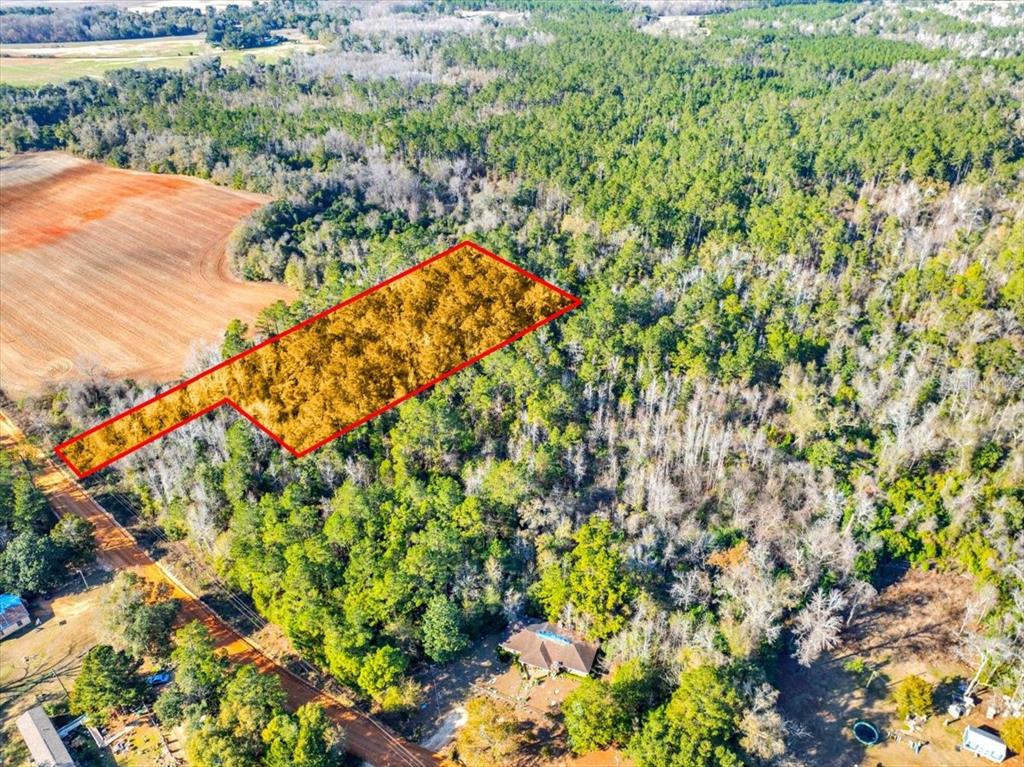 Lovewood Road Cottondale, FL 32431 - Photo 6 of 43