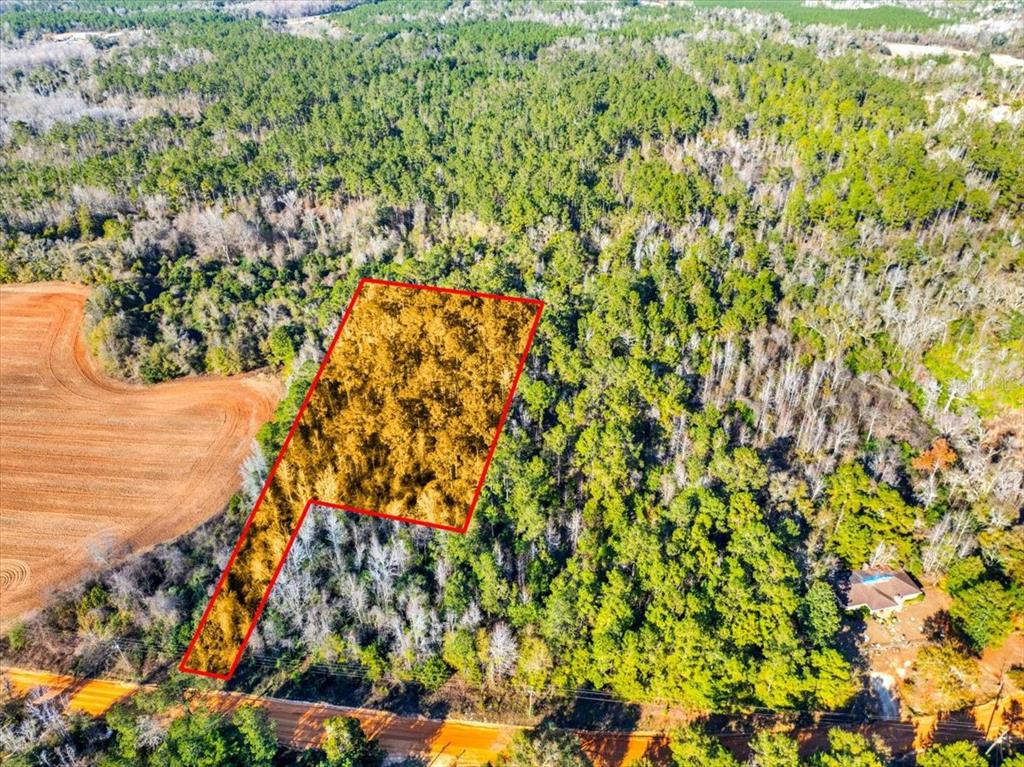 Lovewood Road Cottondale, FL 32431 - Photo 7 of 43