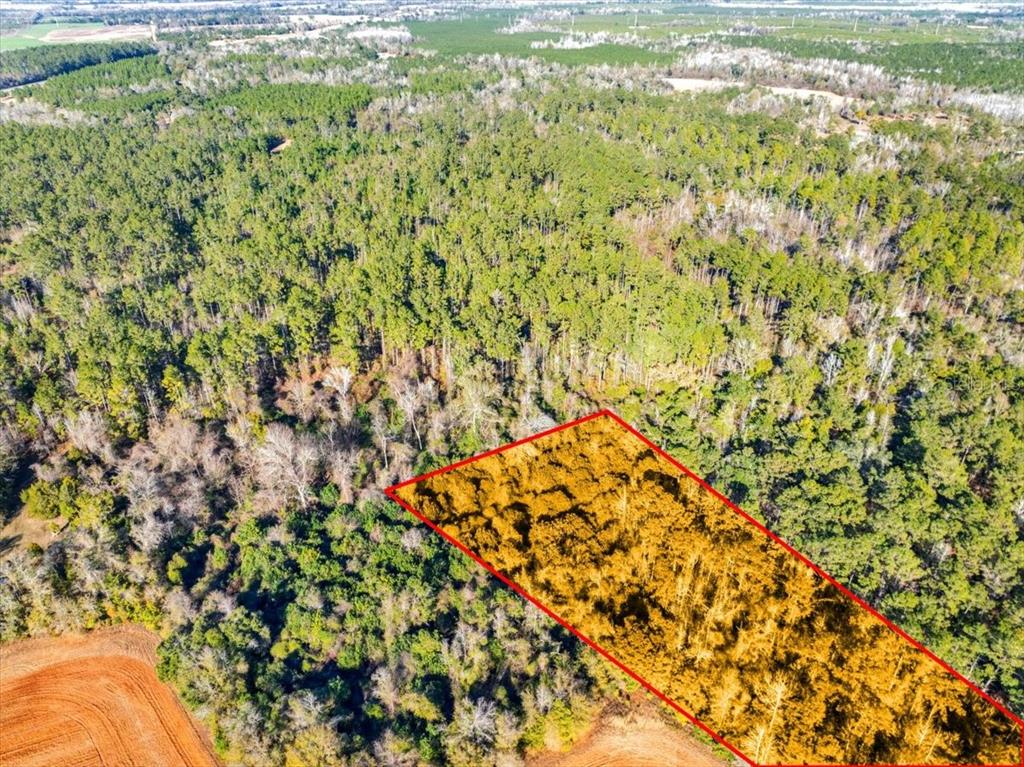 Lovewood Road Cottondale, FL 32431 - Photo 8 of 43