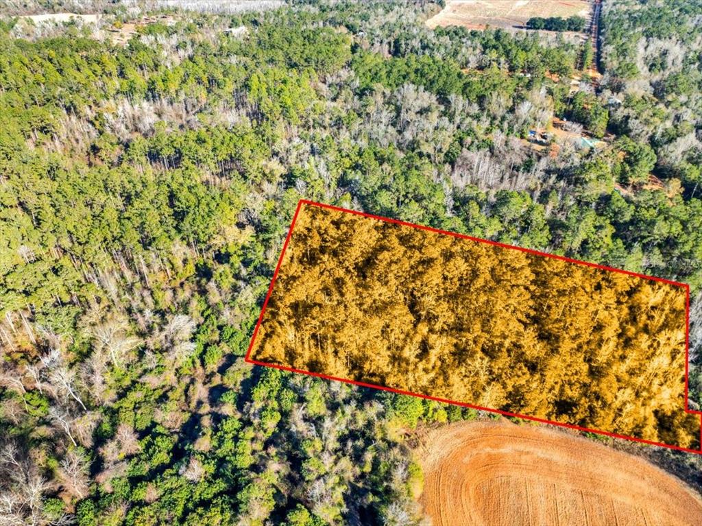 Lovewood Road Cottondale, FL 32431 - Photo 9 of 43