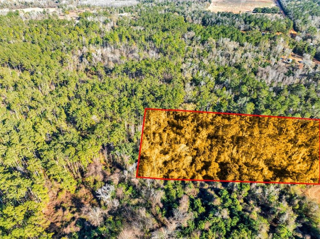 Lovewood Road Cottondale, FL 32431 - Photo 10 of 43