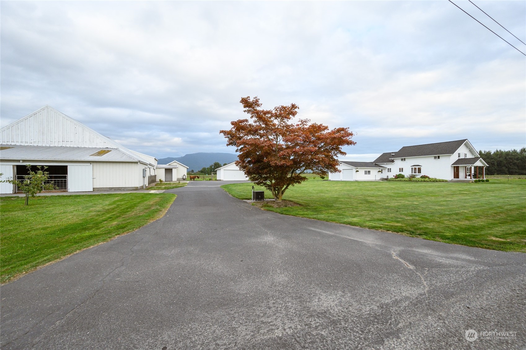 7956 Trapline Road Everson, WA 98247 - Photo 2 of 40 a view of a house with a big yard and large trees