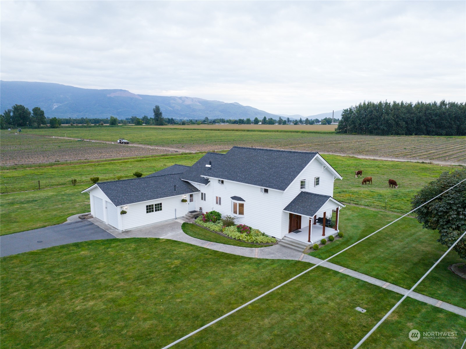 7956 Trapline Road Everson, WA 98247 - Photo 29 of 40 a view of a house with a big yard