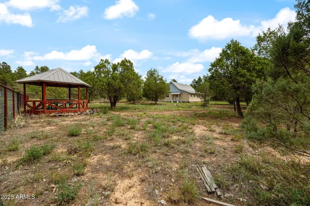 a view of outdoor space with garden and trees