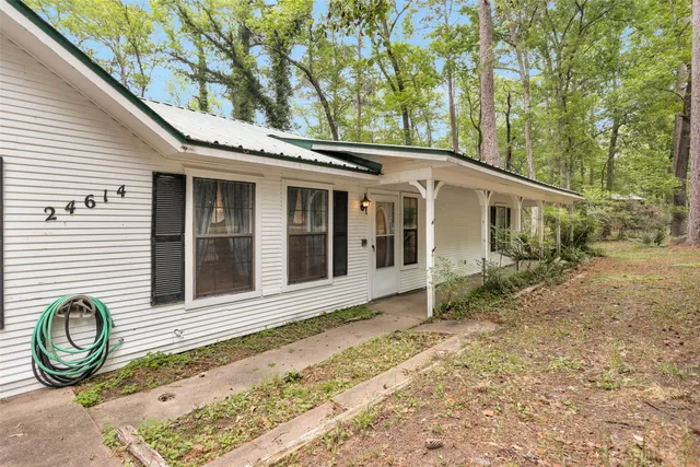 a backyard of a house with lawn chairs and large tree