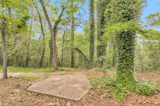 a view of a yard with large trees
