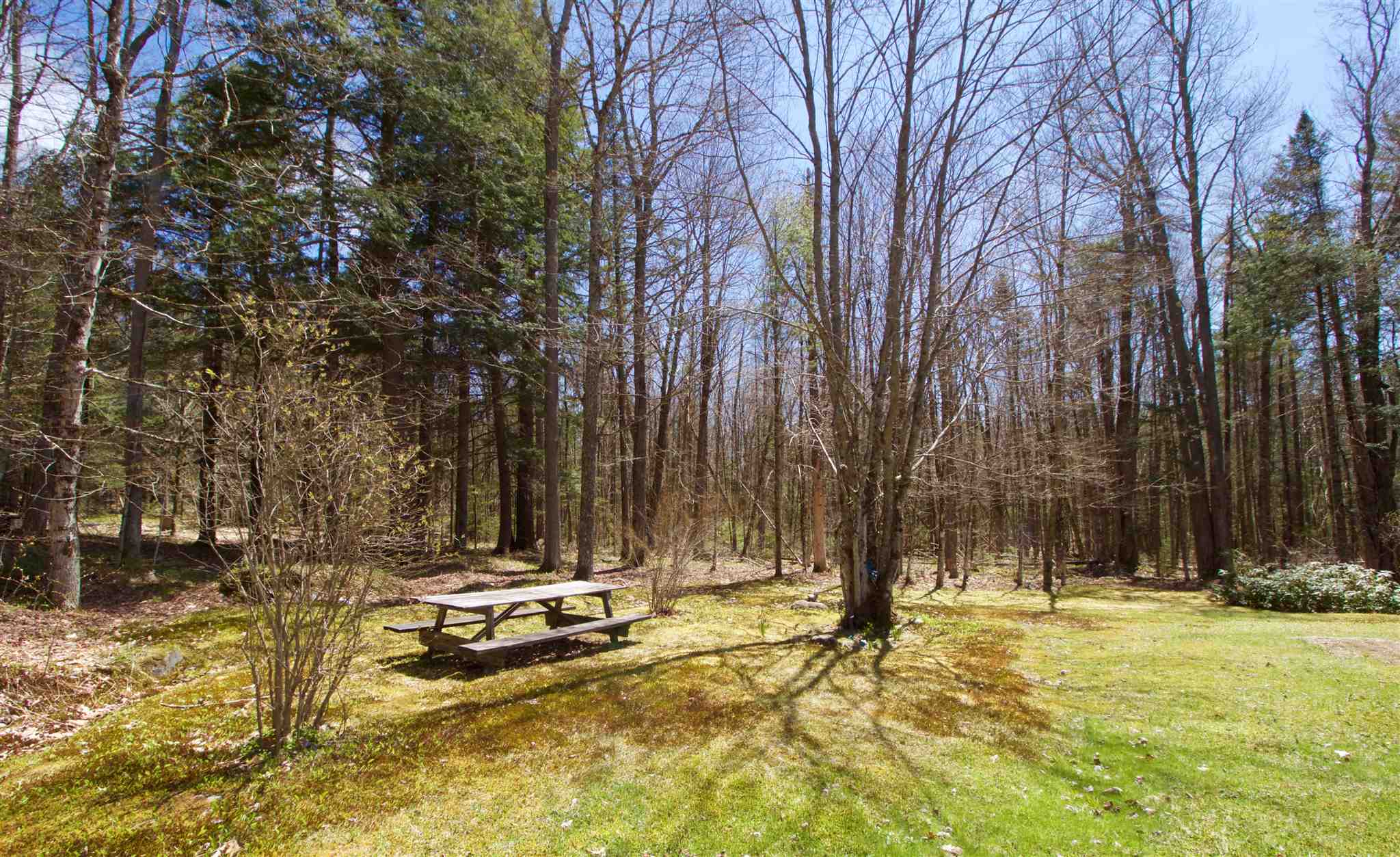 949 Boynton Road Londonderry, VT 05148 - Photo 22 of 24