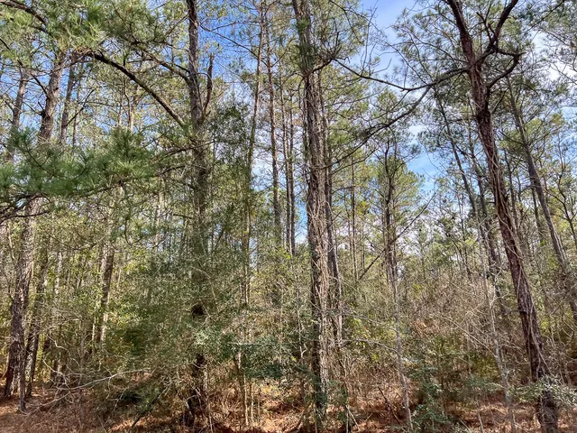 a view of a yard with an trees