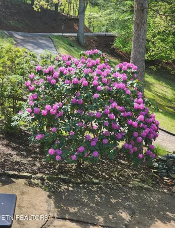 $1,490,000 | 639 Deerwood Lane, La Follette, TN 37766