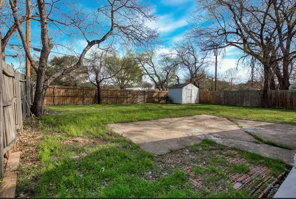 a view of a yard with plants and trees