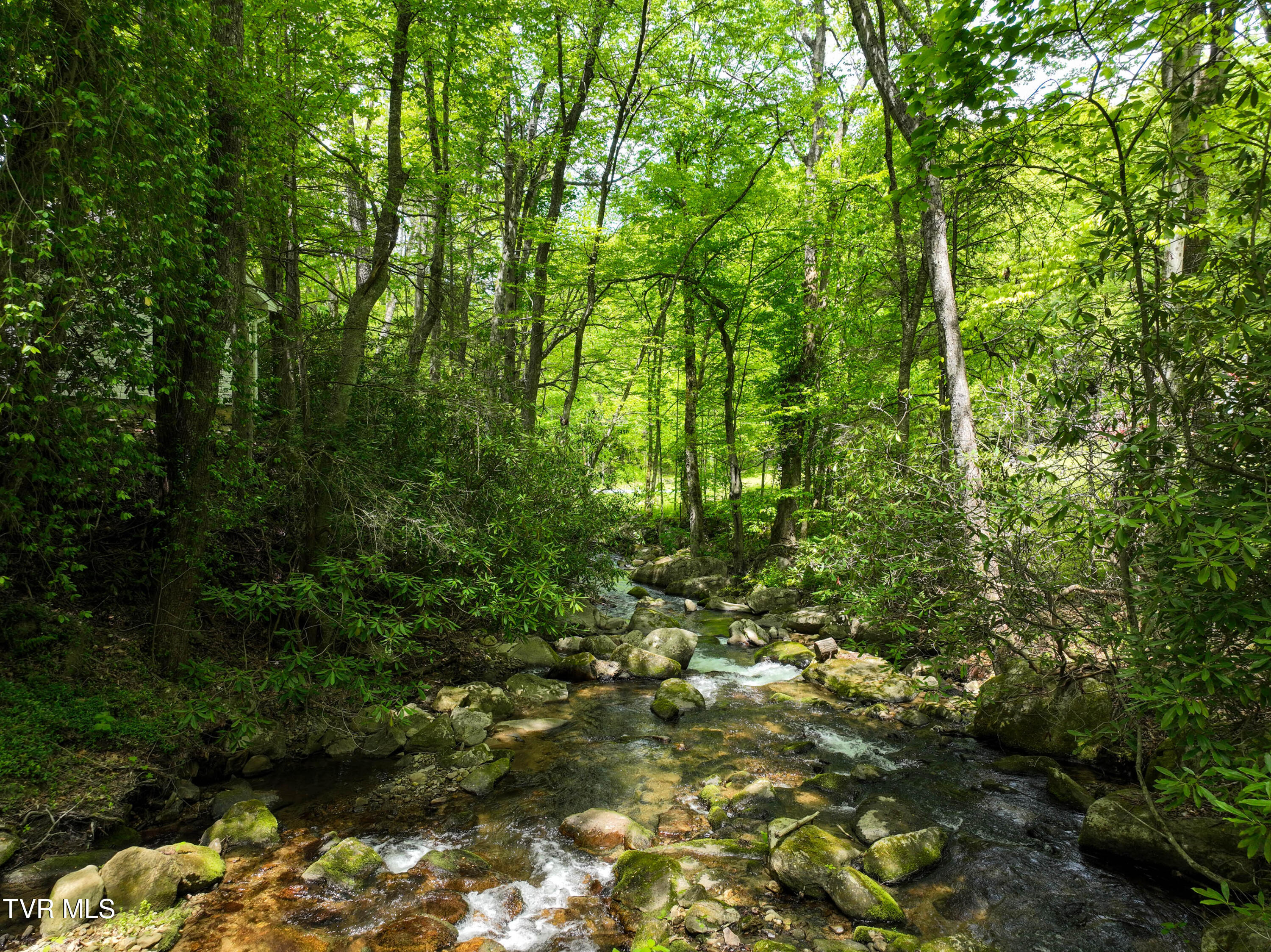 275 Tiger Creek Road Roan Mountain, TN 37687 - Photo 95 of 104 275 Tiger Creek Rd Drone WALLACE-42