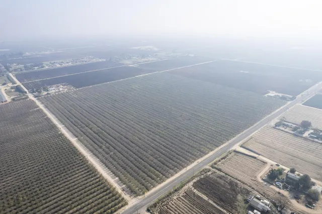 a view of beach and ocean