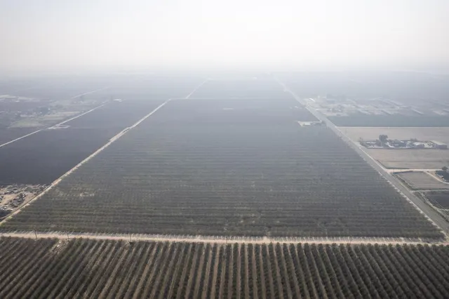 a view of wooden floor