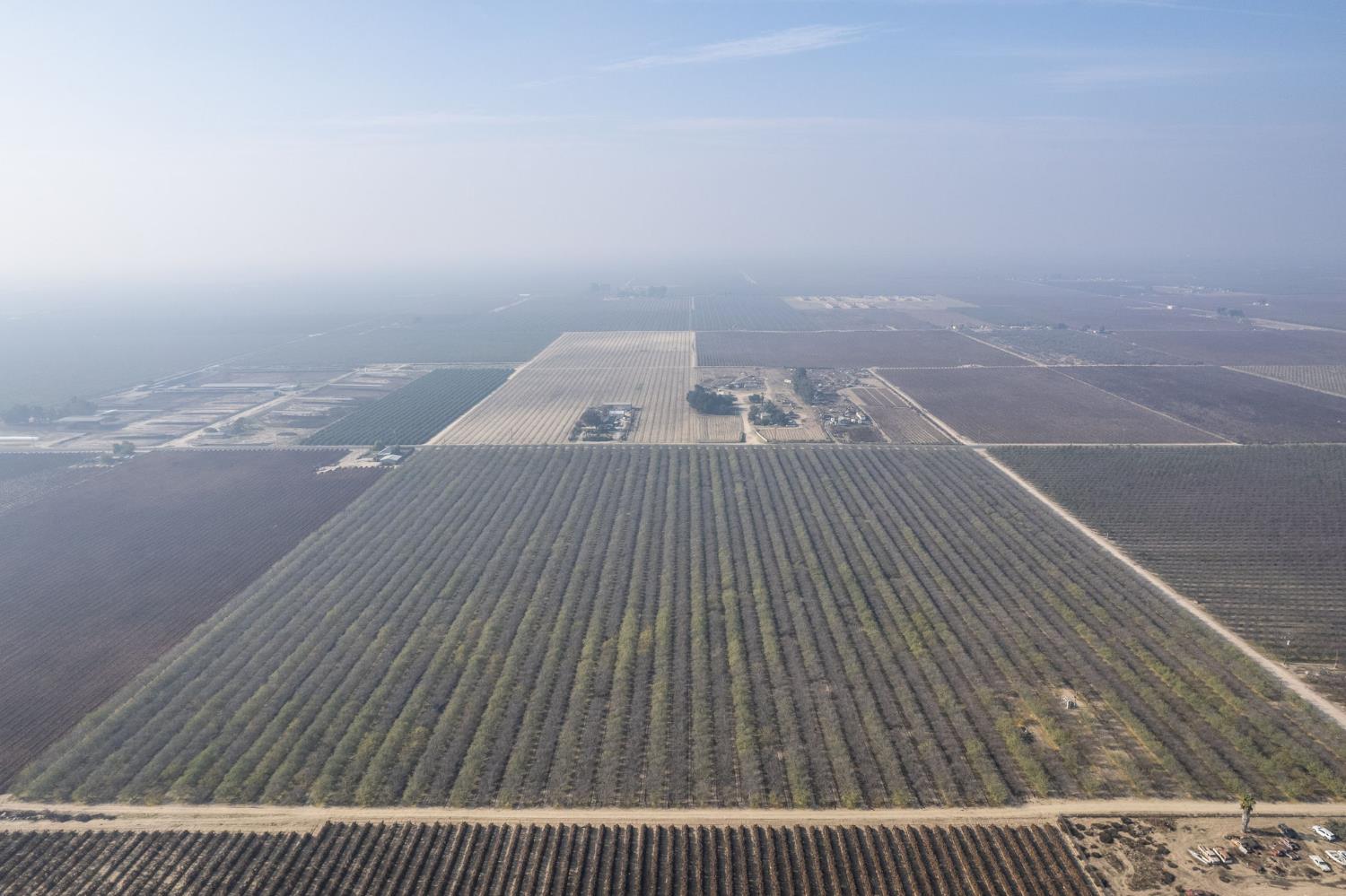 0 South Marks Avenue Caruthers, CA 93609 - Photo 7 of 8