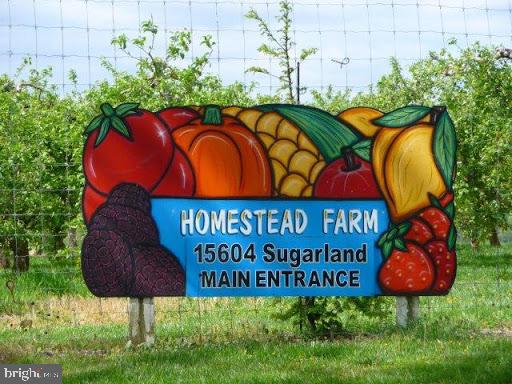 17029 Spates Hill Road Poolesville, MD 20837 - Photo 57 of 67 Pick your own fresh veggies here ...