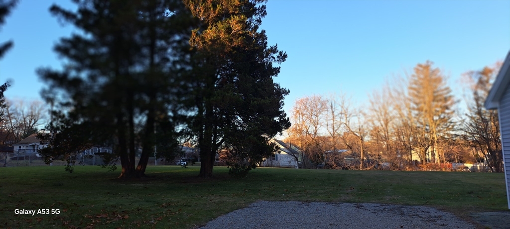 1132 West Boylston Street, Unit 2 Worcester, MA 01606 - Photo 29 of 42 a view of a park