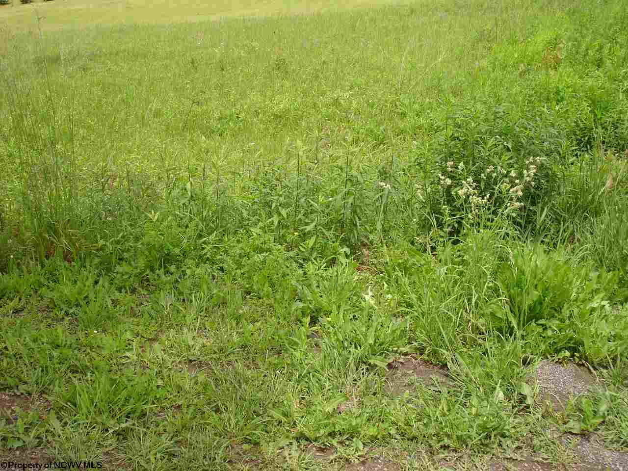 Lot 10 Rt 19 Rohr Road Masontown, WV 26542 - Photo 2 of 5 Gallery Image 2