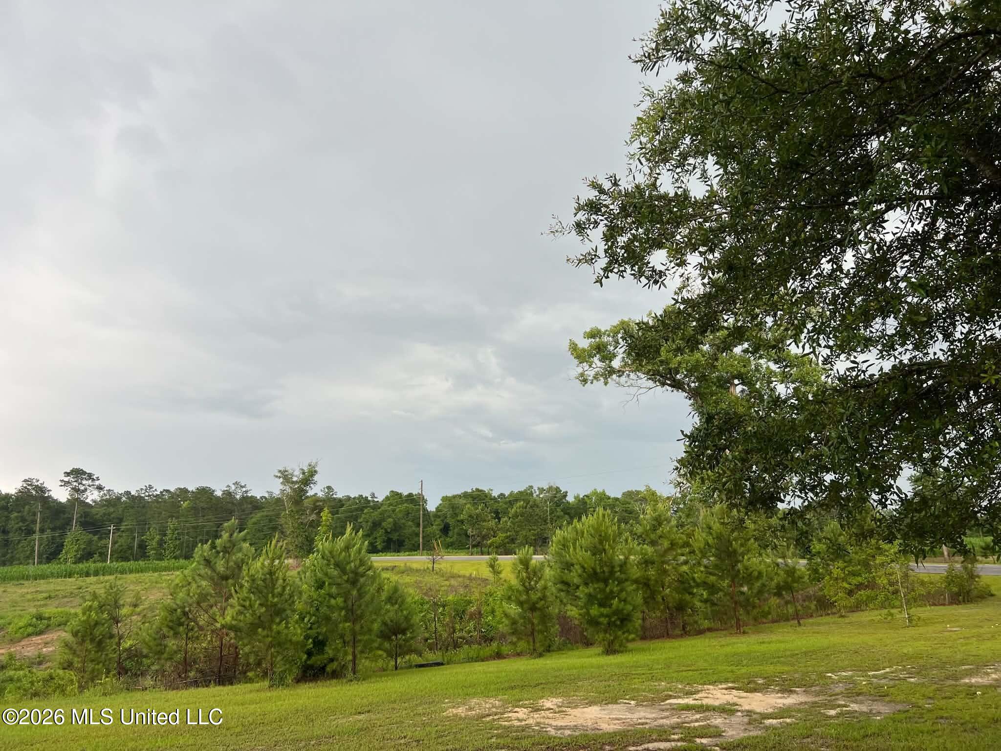 1882 McInnis Vernal Road Lucedale, MS 39452 - Photo 16 of 20 711563287_1287483100168434_6135212833836