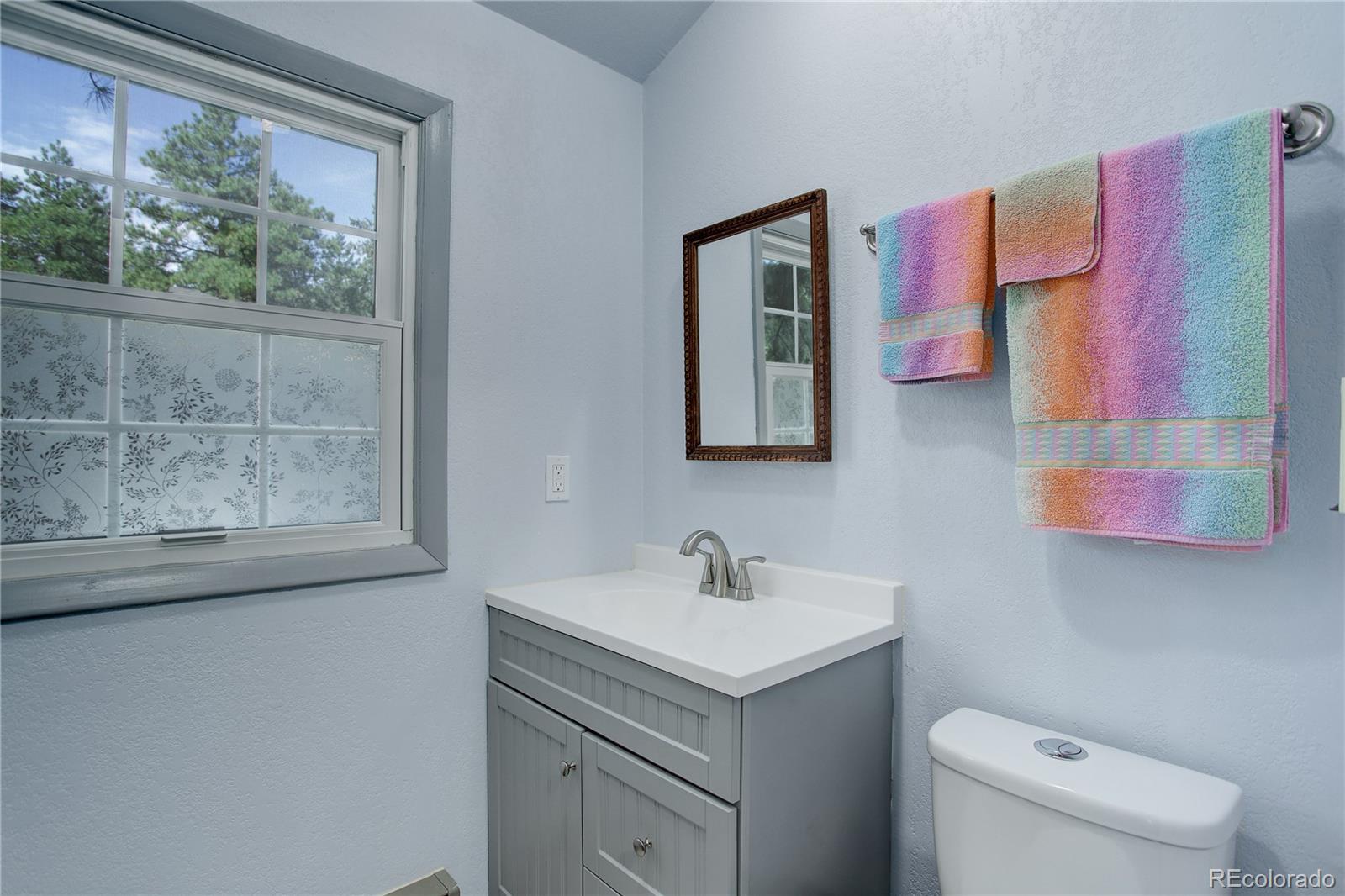 19285 Fox Den Way Morrison, CO 80465 - Photo 19 of 24 a bathroom with a toilet sink and mirror