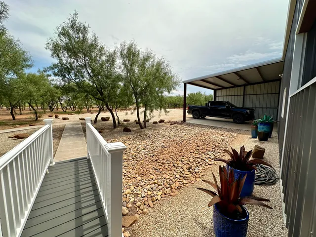 a view of a yard with a tree
