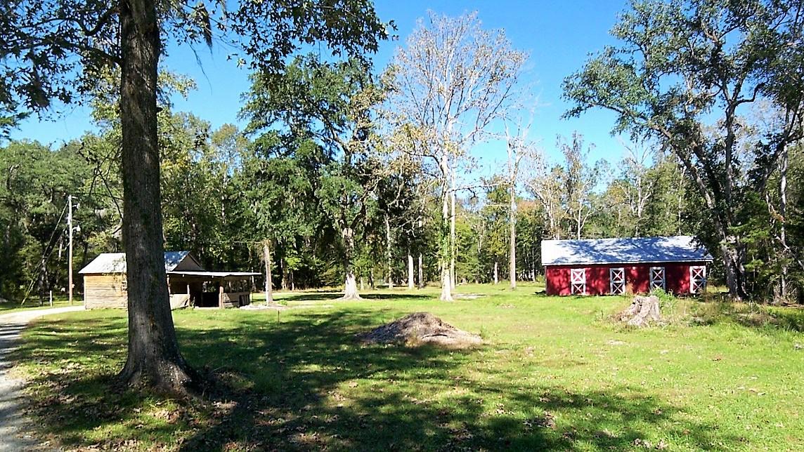 113 Nesmith Lane Ridgeville, SC 29472 - Photo 8 of 15 100_2088