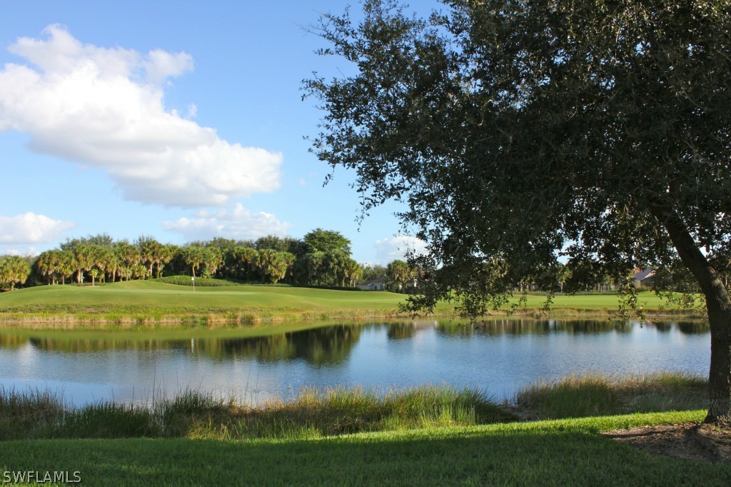 17912 Modena Road Miromar Lakes, FL 33913 - Photo 8 of 25 Gallery Image 8
