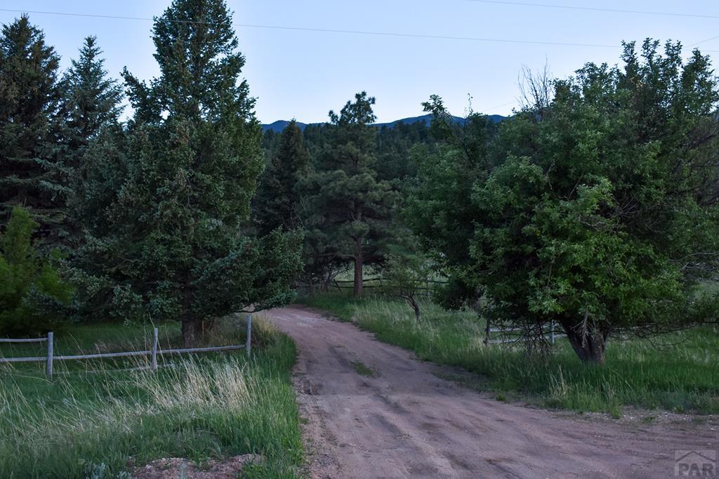 165 West Rye Co 81069 Rye, CO 81069 - Photo 4 of 38