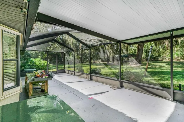 a view of a park with large trees