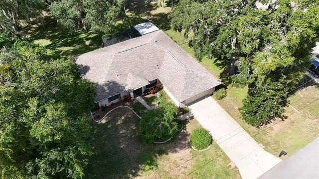 a view of a garden with plants