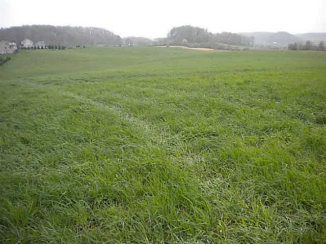 0 Country Club Road Southwest Lancaster, OH 43130 - Photo 2 of 9