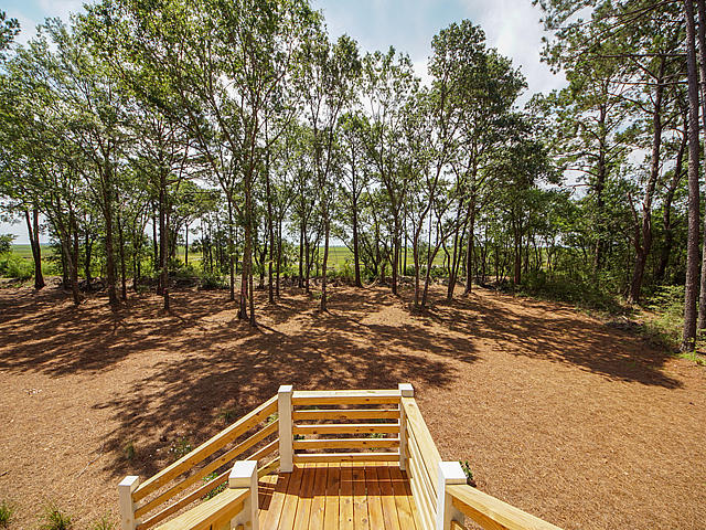 4033 Longmarsh Road Awendaw, SC 29429 - Photo 52 of 56 43