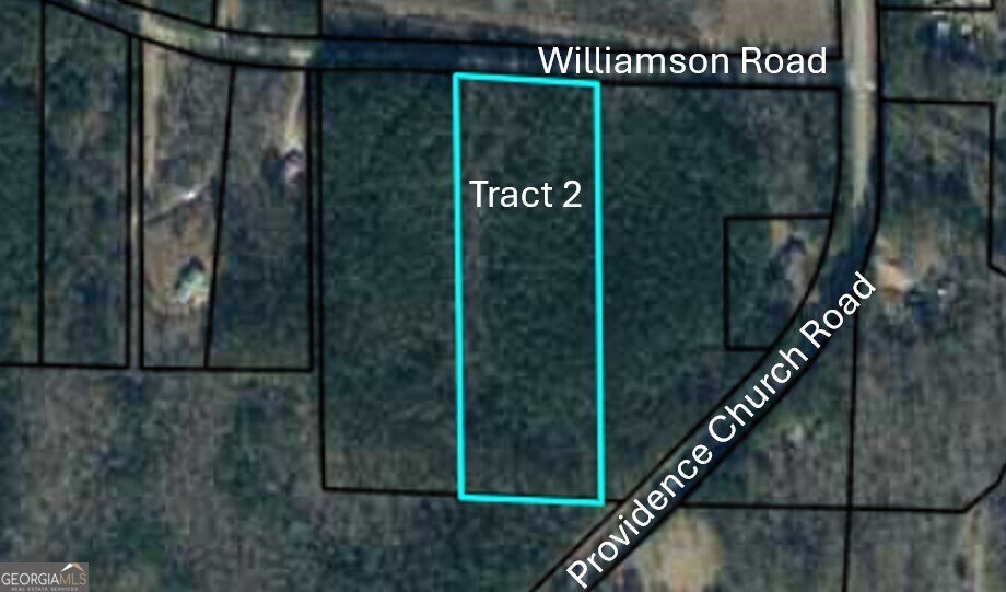 Tract 2 Williamson Road Tallapoosa, GA 30176 - Photo 1 of 1 Gallery Image 1