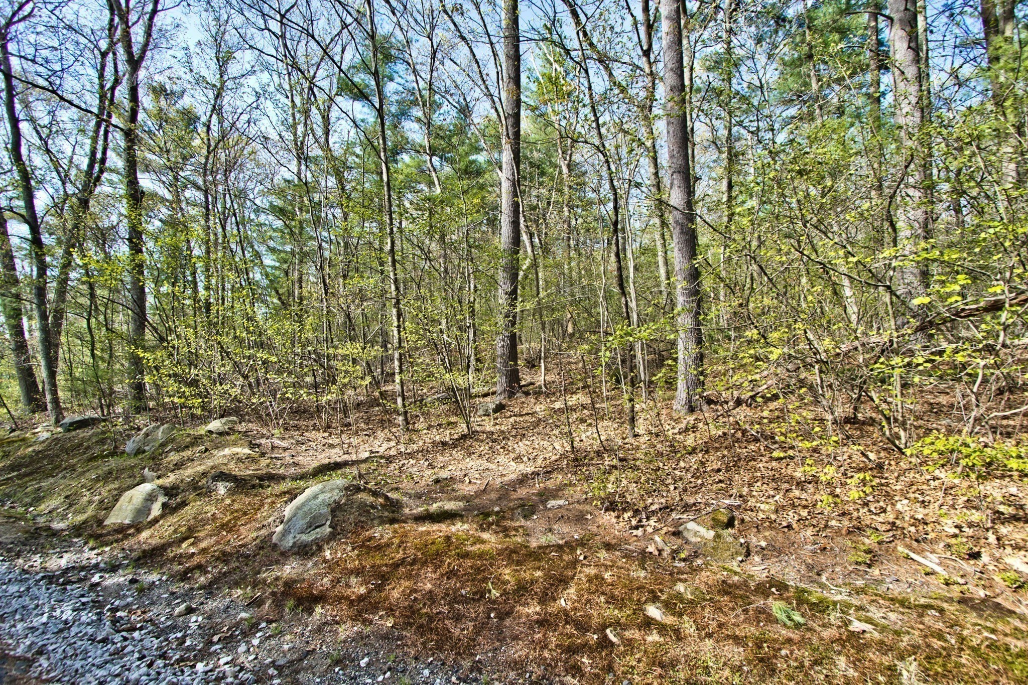 Lot B Kiwanis Beach Road Upton, MA 01568 - Photo 5 of 10 Gallery Image 5